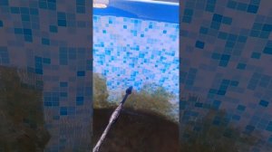 Мойка интерскол 140 на 1700