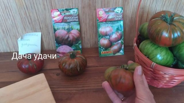 ПОЛОСАТЫЕ сорта помидор в моей теплице/Странная вещь девушки/Амурский тигр/Полосатый шоколад/Обзор