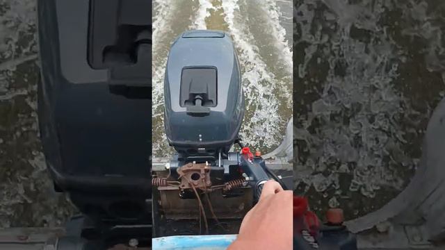 прогресс под мотором тарпон 9.9 смотреть онлайн