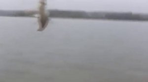 Рыбалка на Рузском водохранилище осенью, ловим леща на фидер и поплавочную удочку видео