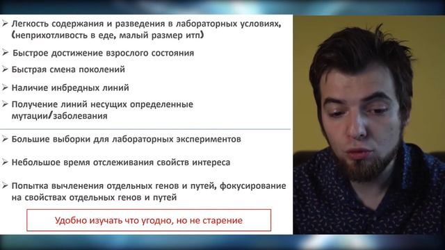 Модельные объекты смотреть онлайн