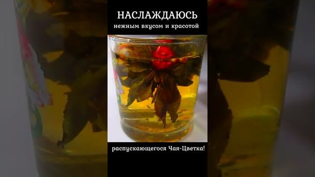 #Чай-Цветок