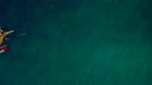 король обезьян 2