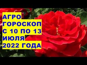 Агрогороскоп с 10 по 13 июля 2022 года