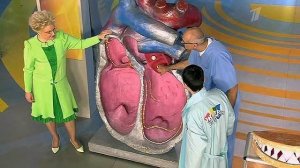 Септический эндокардит. Инфекционное поражение сердца. Жить здорово! Фрагмент выпуска от 25.02.2015