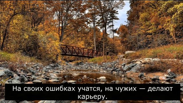 Михаил Жванецкий. Лучшее из портфеля.