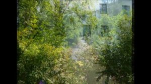 Июль 11, 2013 Санаторий Борок