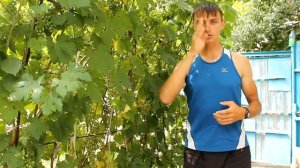 Как правильно работать руками при беге