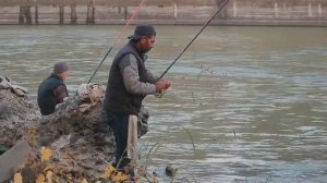 Как правильно проводить блесну, что бы щука ловилась?