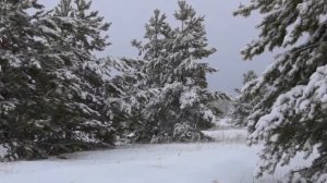 Первая чистка снега в Родовом 2020