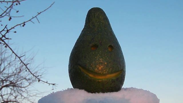 С ДНЁМ РОЖДЕНЬЯ Лена от Авокадыча смотреть онлайн