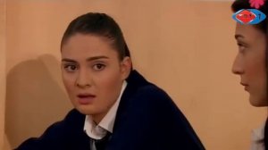 Жашоо суртумдору 71-болум HD