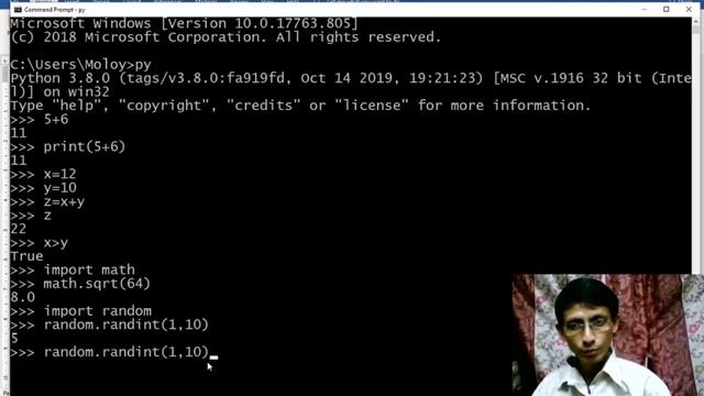python 3 8 tutorial using command prompt and python IDLE to run python code смотреть онлайн