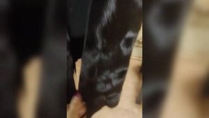 Шьём своими Руками?. Шуба из норки Blackglama, воротник из лисы Bluefrost