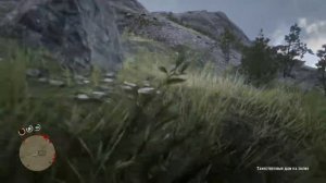 НАШЁЛ МОГИЛУ АРТУРА МОРГАНА В Red Dead Redemption 2