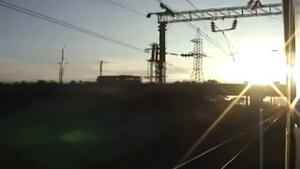 Виктор Королёв "Окольцованная птица"