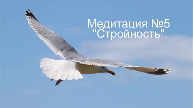 медитация 5 Стройность