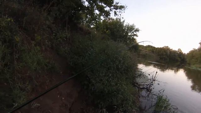 Вечерний выход после дождя смотреть онлайн