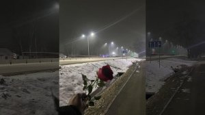 Ара Мартиросян - Ты как судьба моя😍
