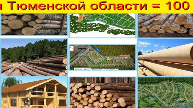 Сосна Пиловочник Тюмень