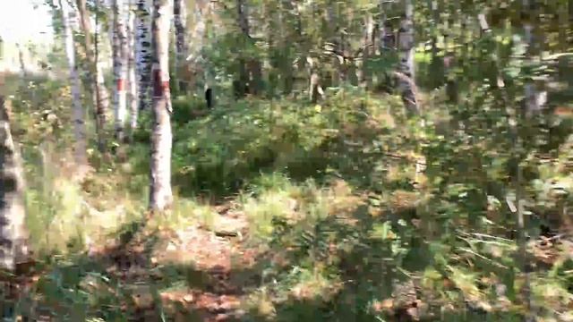 ГДЕ РЫСЕНОК ТИША, О ПРОДАЖЕ МАРСА смотреть онлайн