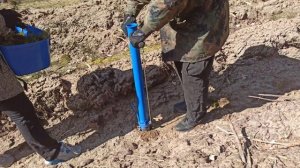 Привлекаю семью к посадке леса. Меч Колесова и посадочная труба.