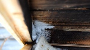 Верхняя вентиляция в улье зимой. Зимовка пчел на воле (ВИДЕО)