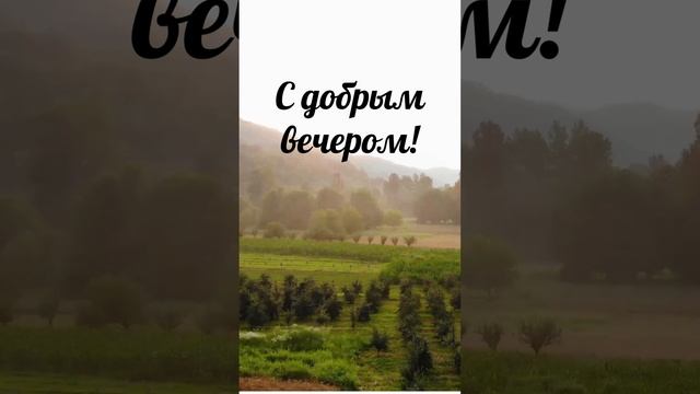 Клип с добрым вечером | SunPikRu