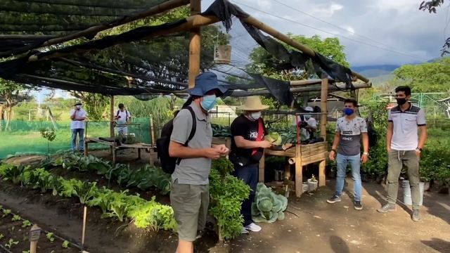 Huertos Proyecto Iila y Sena en Neiva (Colombia) смотреть онлайн