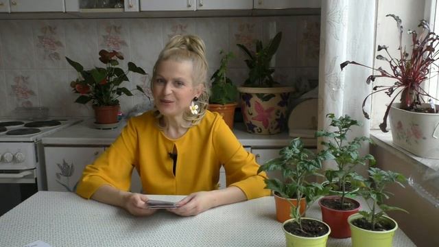 Какие томаты толерантны к фитофторе смотреть онлайн