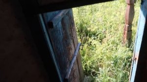 Заброшенные деревни Ярославской области. Множество домов в лесу