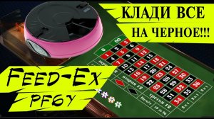 Обзор автоматической кормушки для кошек и собак - Feed-Ex PF6Y на 6 кормлений.