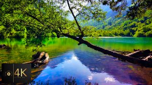 Бадукские озёра. Пешая прогулка вдоль высокогорных озёр по живописному лесу