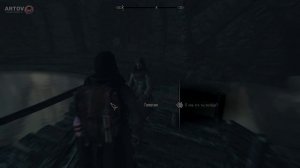 Skyrim Что Будет Если прийти к Скульптору Лиц ВАМПИРОМ?