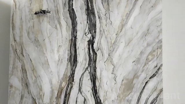 ДЕКОРАТИВНАЯ ШТУКАТУРКА ИМИТАЦИЯ МРАМОРА • Декоративка стен