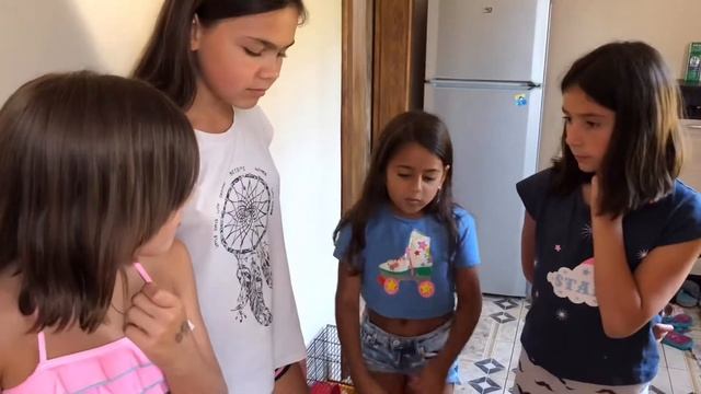 С подружками на дачке. Одни дома. Квест. смотреть онлайн