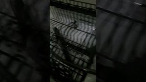 Принцип работы лопастей посудомоечной машины