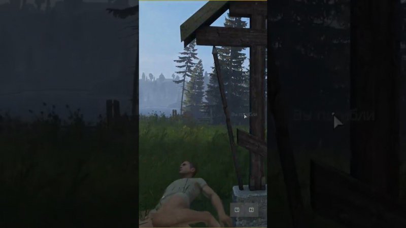 Dayz