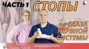 Здоровые стопы. Какие упражнения помогут укрепить стопу и ПОЧЕМУ это так важно? ЧАСТЬ 1