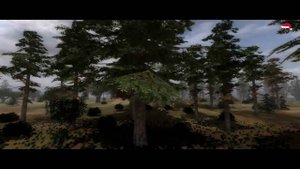 Обзор S.T.A.L.K.E.R.: Народная солянка 2010