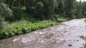 река Куюм после дождя
