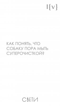 Как понять, что собаку пора мыть суперочисткой?