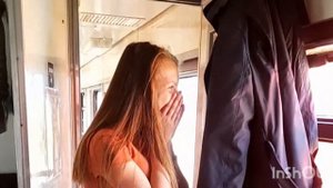 Едем забирать щенка самоеда. Первый день щенка дома.