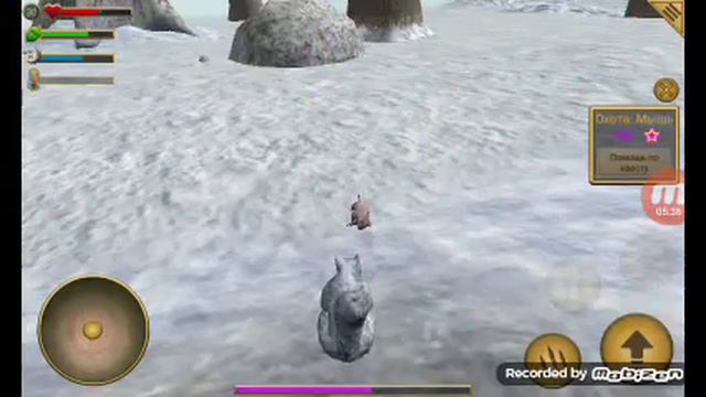 Симулятор "Белка" смотреть онлайн