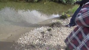 Чукотка. Часть 7. Долина реки Кувет. Драйв. Медведица