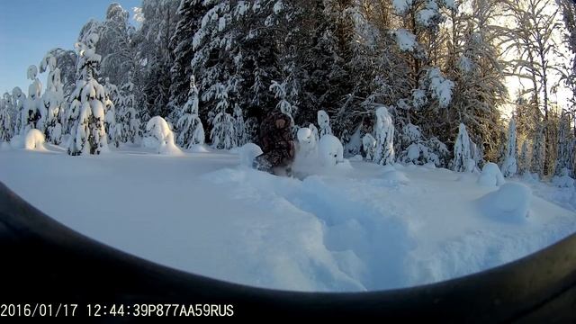 Глубина снега на сегодня. смотреть онлайн