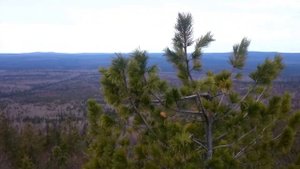 Гора Колпаки. Пермский край. Путешествия по Уралу