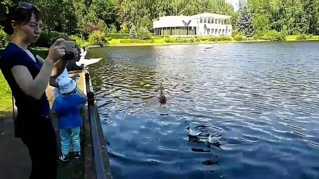 Крестовский остров 12.07.2018 смотреть онлайн