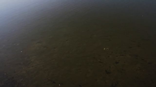 Песчаный пляж на реке Ока у д.Тимофеевка, камень желаний. зу 229, Ферзиковский р-н, Калужская обл.