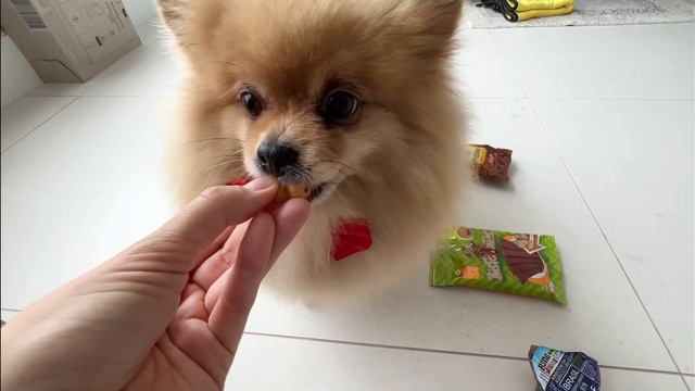 Какие подарки получила Бася и что ей понравилось больше всего? смотреть онлайн